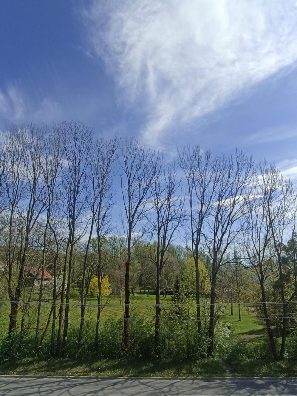 Apartament Aleja Lipowa Gorki Wielkie Εξωτερικό φωτογραφία